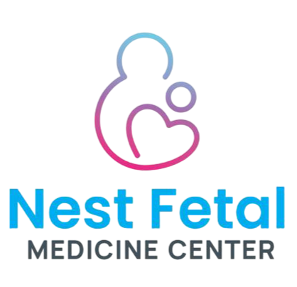 nestfetalmedicinecenter.com